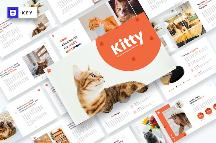 宠物猫动物主题keynote模板- PPT派