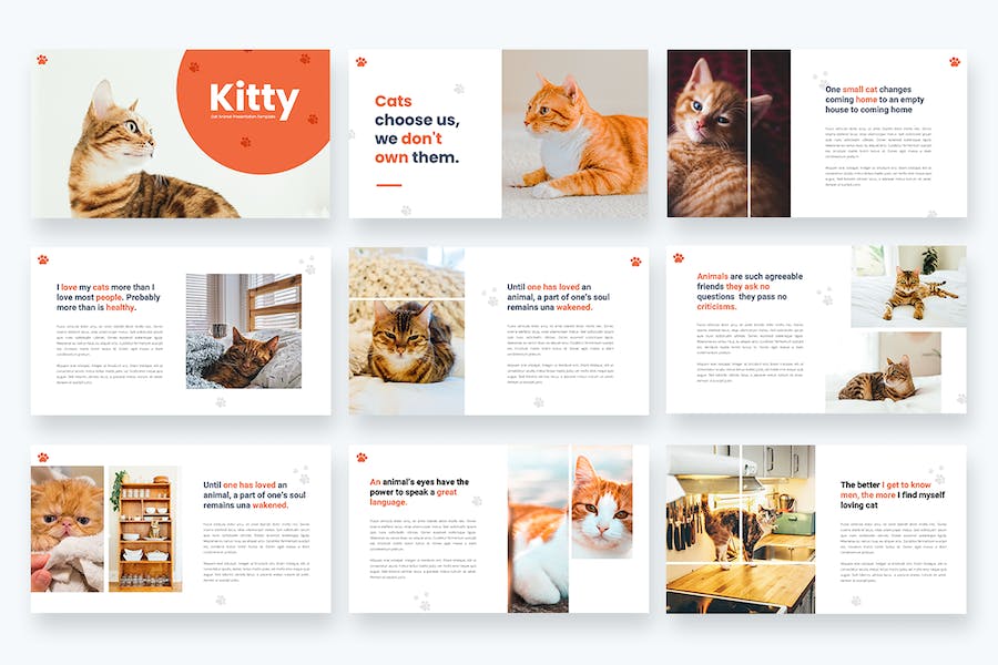宠物猫动物主题keynote模板 - PPT派