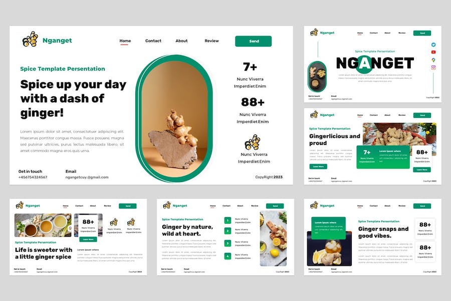 香料食品产品推介宣传营销展示方案PPT模板 - PPT派